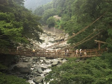 iya valley shikoku Iya Valley, Japan City, Japan Package, Tokushima, Mountain Valley, Suspension Bridge, Travel Maps, Group Tours, Beautiful Scenery