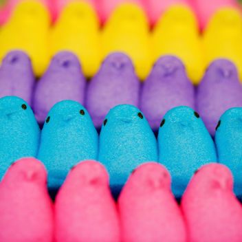 Dessert Game Changer: Peeps Are Officially the Best Ingredient for Next-Level S'mores: Glamour.com Spring Traditions, Marshmallow Recipes, Gourmet Marshmallow, Cool Birds, Enchanted Party, Deviled Eggs Easy, How To Make Marshmallows, Peanut Butter Eggs, Marshmallow Peeps