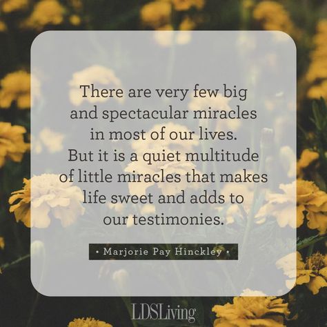 Quotes On Miracles, Miracle Quotes, Lds Living, Giving Quotes, General Conference Quotes, Conference Quotes, Uplifting Thoughts, Inner Peace Quotes, Church Quotes