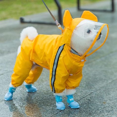 Amazon.com : Dog Raincoat Waterproof Puppy Dog Raincoats Rain Jacket With Hood For Small Medium Dogs Poncho With Reflective Strap 1Pcs Yellow Bear XXL : Pet Supplies Dog Rain Coat, Designer Raincoats, Animal Clothes, Travel Dog Bowl, Yellow Bee, Dog Raincoat, Dog Clothes Patterns, Dog Feeder, Small Puppies