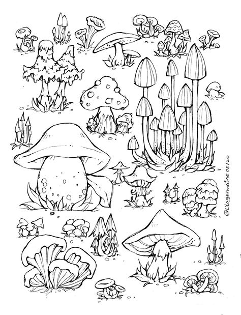 Mushroom Drawing, Study Course, Plant Drawing, Cool Coloring Pages, Mushroom Art, Coloring Book Art, Cute Coloring Pages, Doodle Drawings, Coloring Book Pages