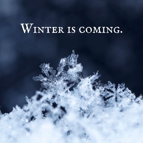 Winter is coming. - Mindset Made Better Winter Is Coming Quotes, Winter Is Coming Quote, Ice Quotes Winter, Winter Phrases Quote, In The Depths Of Winter Quote, Winter Blues Quotes, Mean While, House Stark, Catch Phrase