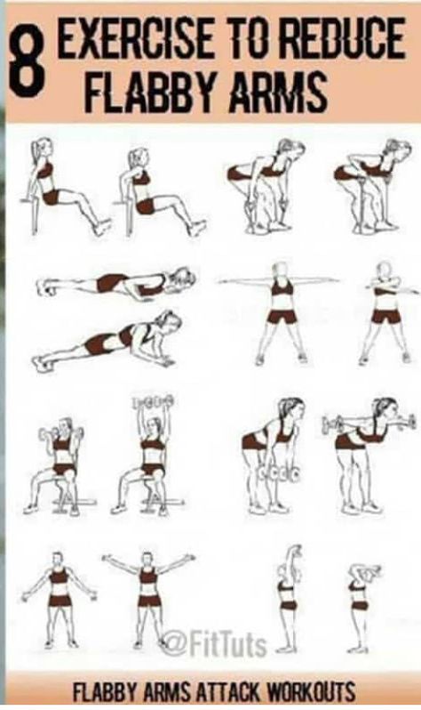 Arm Circuit Workout, Arm Workout Gym, Arm Workout For Beginners, Good Arm Workouts, Tone Arms Workout, Pilates Workout Plan, Arm Workouts At Home, Push Workout, At Home Workouts For Women