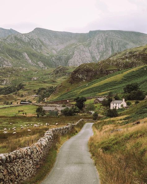 Wales is always good idea 💚 Save it for your next trip 1. I can remember the exact name of this place, but I recall that it is located on… | Instagram Wales Aesthetic, Wales Countryside, British Countryside Aesthetic, Wales Landscape, Scotland Scenery, Wales Photography, Ireland Countryside, Place Aesthetic, Outdoors Aesthetic