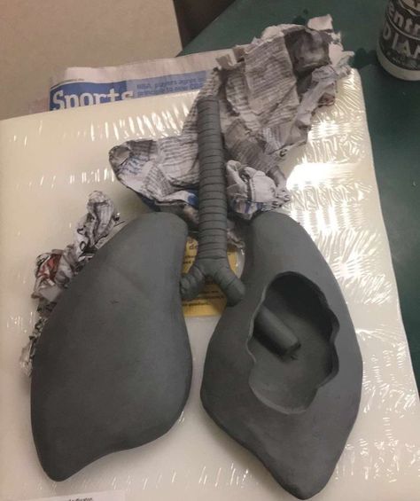 Big Clay Projects Ideas, Big Clay Sculpture, Lungs Sculpture, Lung Sculpture, Fantasy Clay Art, Big Ceramics Projects, Big Clay Projects, Clay Artwork, Sculpture Art Clay