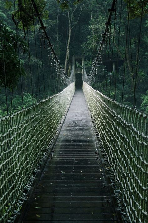 Dangerous Rope Bridges That Will Leave You Without Breath Draw Bridge, Peaceful Green, Rope Bridge, Suspension Bridge, Covered Bridges, Bay Bridge, Historical Sites, Beautiful World, Places To See