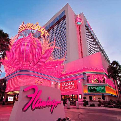 Vegas Prom, Flamingo Hotel Las Vegas, Shows In Las Vegas, Flamingo Las Vegas, Flamingo Hotel, Vegas Lights, Vegas Skyline, Las Vagas, Monthly Schedule