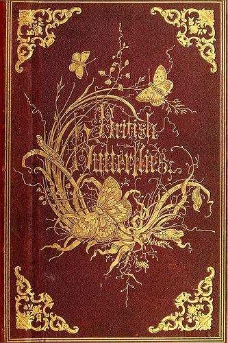 British Butterflies (book cover).  Beautiful, but don't want to know what it would cost to buy. British Moths, Ornate Books, Hyrule Castle, Illustration Art Nouveau, Butterfly Books, Vintage Book Cover, Vintage Book Covers, Beautiful Book Covers, Desenho Tattoo