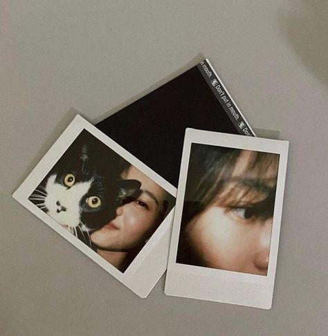 Kim Taeri, Aesthetic Cats, Sassy Wallpaper, Mood And Tone, Cinematic Photography, 가을 패션, Insta Photo Ideas, May 13, Aesthetic Photo