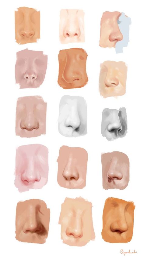 Types Of Nose, Nose Drawing, 얼굴 그리기, Nose Shapes, Carey Mulligan, Liv Tyler, Anatomy Drawing, Digital Painting Tutorials, Anatomy Art