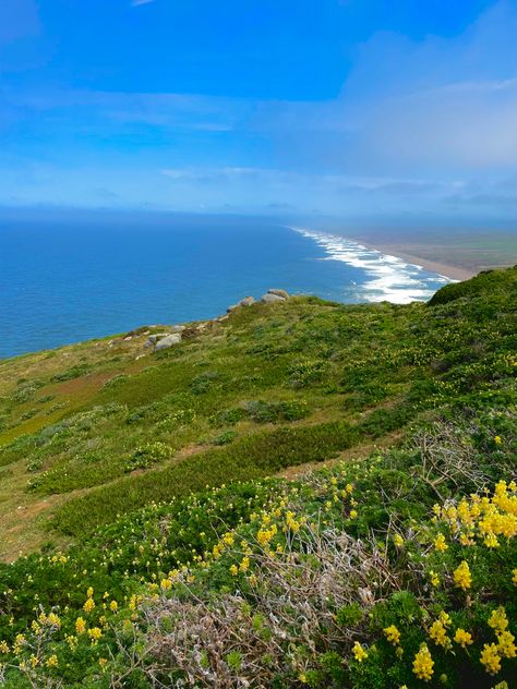 Senior Szn, Point Reyes National Seashore, Point Reyes, Hiking Aesthetic, Summer 24, Travel List, Backpacking, Cali, Mood Board