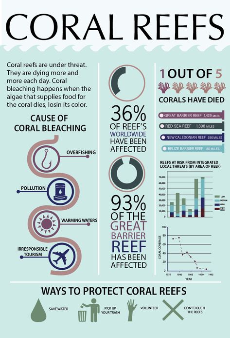 Coral Reef Infographic, Overfishing Poster, Biology Poster, Hard Coral, Ocean Acidification, Artificial Reef, Coral Bleaching, Biology Facts, High School Life Hacks