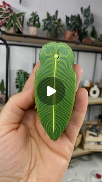 Astrid Wilk on Instagram: "Making my ANTHURIUM VEITCHII miniature plant cane pattern. This is the King Anthurium, so it’s time to make the Queen too. This fits perfectly with the personal project I’m currently working on. The pattern is created by staking bullseye canes with a skinner blend of different shades of green. So simple with a great effect.
Have fun creating 🪴

You’re asking a lot for process videos, so I’m re-editing the making of some of my favorite mini plants for you. As always made from oven-hardening polymer clay.

#astridwilkdiy #polymerclaycane #polymerclaycanes #polymerclaytutorial #polymerton  #miniaturen #myfimo #miniaturemaking #artistsofinstagram #miniatures #smallthings  #ミニチュア #clayart #claycreations #dollhouseplants #plantsplantsplants #plantsmakepeoplehappy #dol Polymer Clay Plant Stakes, King Anthurium, Anthurium Veitchii, Polymer Clay Cane, Polymer Clay Canes, Miniature Plants, Love Challenge, Different Shades Of Green, Mini Plants