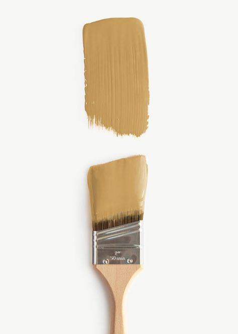 Clare’s New Hue Is a Dose of Serotonin in a (Paint) Can | Architectural Digest Clare Paint Good As Gold, Clare Paint Colors, Mustard Yellow Paint Colors, Golden Yellow Paint, Mustard Yellow Paint, Space Moodboard, Yellow Paint Color, Clare Paint, Mustard Yellow Paints