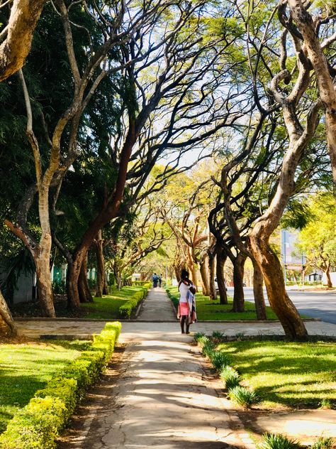 Zambia Aesthetic, Zimbabwe Aesthetic, Zambia Travel, Lusaka Zambia, Travel Aesthetics, Africa Do Sul, Different Countries, Zimbabwe, Zambia