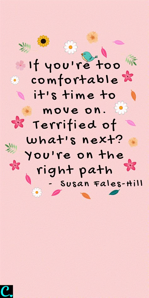 If you're too comfortable it's time to move on. Terrified of what's next? You're on the right path #comfortzone #quotes #wordsofwisdom Successful Women Quotes, On The Right Path, Time To Move On, Positive Quotes For Life, Happy Words, Successful Women, Move On, Fitness Quotes, Positive Thoughts