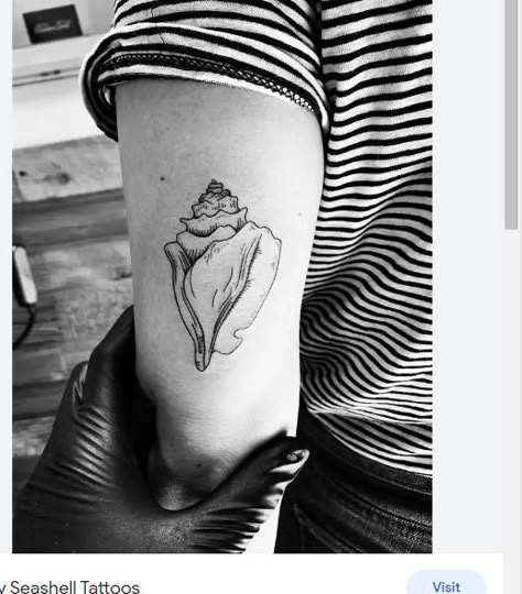 Queen Conch Shell Tattoo, Conch Tattoo Shell, Conch Tattoo, Conch Shell Tattoo, Tattoos Placement, Shell Tattoo, Shell Tattoos, Matching Tats, Scar Tattoo