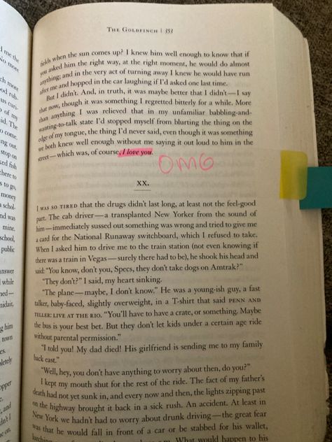 Goldfinch Book, The Goldfinch Book, Fangirl Book, Gold Finch, The Goldfinch, Kinnie Bingo, Barbie Funny, Secrets Of The Universe, Book Annotation