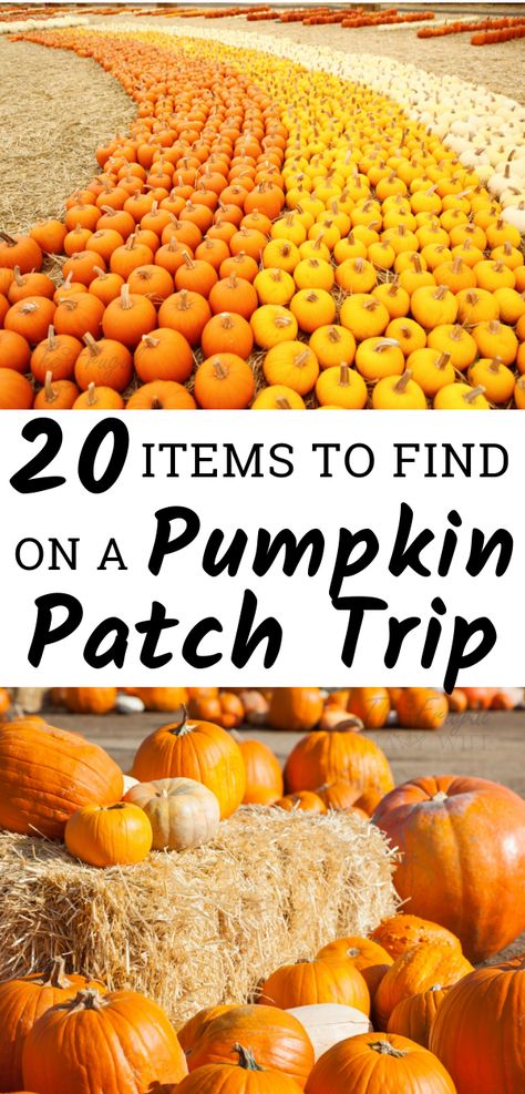 Pumpkin Patch Ideas Diy, Pumpkin Patch Ideas, Autumnal Activities, Pumpkin Patch Decoration, Pumpkin Patch Activities, Charlie Brown Birthday Party, Pumpkin Patch Kids, Pumpkin Patch Birthday, Pumpkin Games