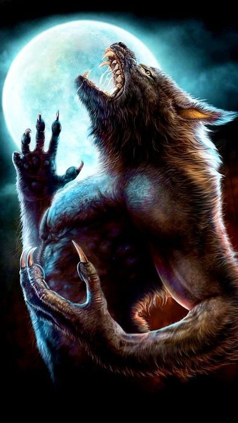 Werewolf Tattoo, Alpha Werewolf, Werewolf Aesthetic, Horror Vintage, Alpha Wolf, Werewolf Art, Vampires And Werewolves, Wolf Wallpaper, Wolf Pictures