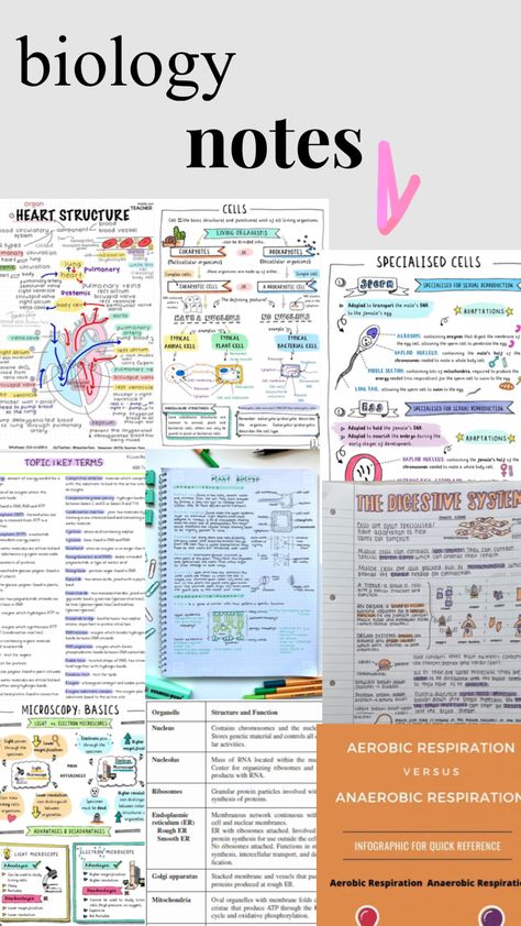 (gcse) #biology #gcse #study Gcse Science Notes, Gcse Aqa Biology Revision Notes, Biology Revision Gcse, Gcse Study, Gcse Psychology, Igcse Biology, Chemistry Revision, Gcse Biology, Heart Structure