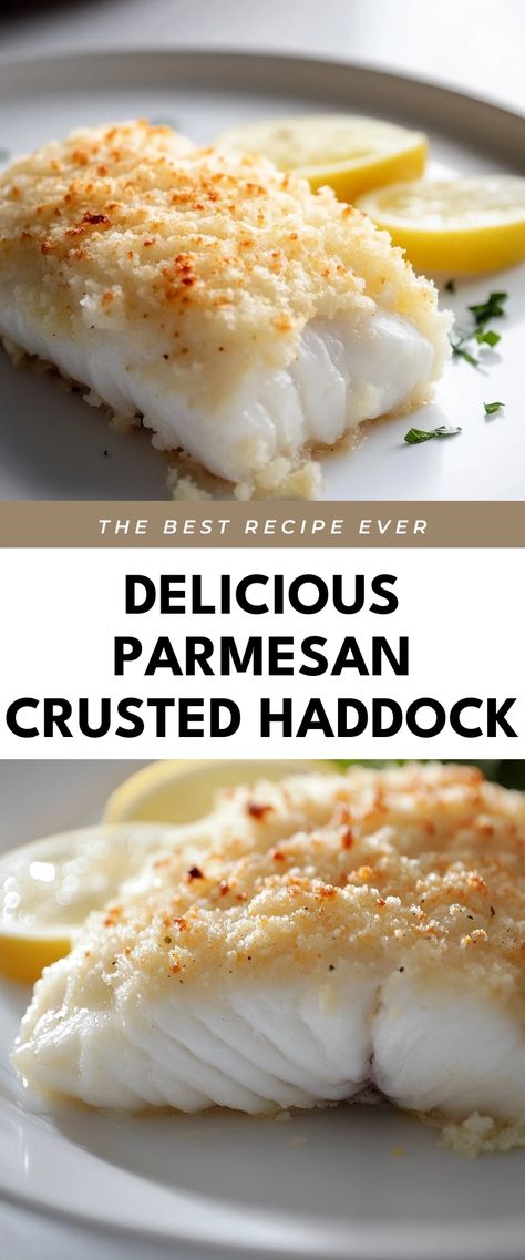 Image for Delicious Parmesan Crusted Haddock Crusted Haddock Recipes, Healthy Haddock Recipes Baked Fish, Parmesan Crusted Haddock, Baked Haddock Recipes Ovens, Pan Fried Haddock Recipes, Haddock Recipes Baked, Fish Parmesan, Haddock Fish Recipes, Haddock Fillet Recipe