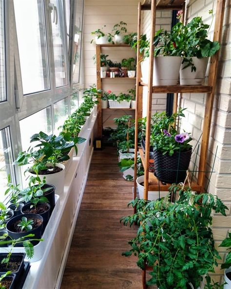 Balcony Container Vegetable Gardening Guide - Unique Balcony & Garden Decoration and Easy DIY Ideas Apartment Balcony Vegetable Garden, Apartment Vegetable Garden Balconies, Balcony Food Garden Ideas, Vegetable Garden Balcony, Best Vegetables To Grow On Balcony, Mini Balcony, Balcony Herb Gardens, Patio Container Gardening, Gardening Guide