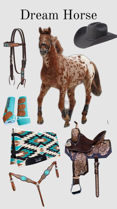 #fyp #dream #horse #western #westernaesthetic #cute #preppy #popular #country #countrygirl Western Horse Tack Turquoise, Western Riding Tack, Western Tack Sets, Barrel Racing Tack Rodeo, Bling Horse Tack, Western Horse Riding, Cow Wallpaper, Barrel Racing Tack, Horse Western