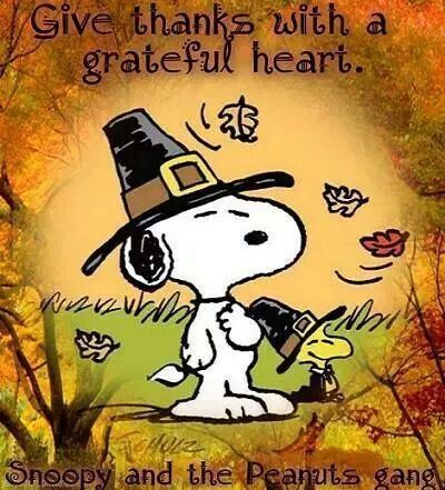 Snoopy Grateful Heart Thanksgiving Quote Happy Thanksgiving Memes, Snoopy Thanksgiving, Fall Captions, Thanksgiving Meme, Thanksgiving Snoopy, Thanksgiving Wallpapers, Peanuts Thanksgiving, Sister Bond, Charlie Brown Thanksgiving