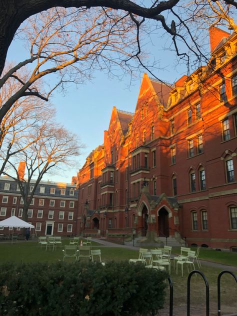 Harvard In The Fall, Harvard Fall Aesthetic, Harvard University Vision Board, Harvard Law School Campus, Harvard Med School Aesthetic, Harvard Summer School, Harvard Mba Aesthetic, Ivy League Student Aesthetic, Harvard Dorm Room Aesthetic