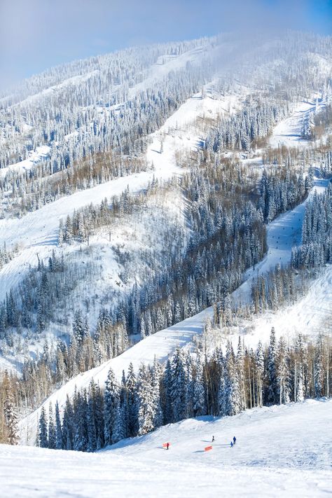 Steamboat Springs: A Complete Guide to a Beloved Western Ski Town | Condé Nast Traveler Snow Hot Springs, Steamboat Springs Colorado Summer, Skiing In Austria, Denver Colorado Ski Resorts, Steamboat Springs Ski Trip, Steamboat Colorado, Vail Skiing, Breckenridge Ski Resort, Colorado Ski Resorts