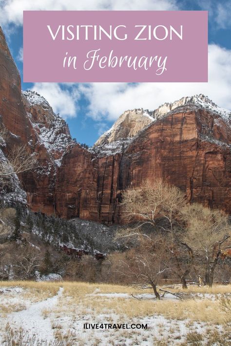 Do you want to visit Zion National Park in February, but are not sure if it is a good month to visit zion in february or what to do while visiting Zion National Park in February then make sure to read this Zion guide. By the end you will know if you want to visit in February or wait for another month. Learn about the weather in zion in february, what to wear in zion and hiking in Zion. State Parks Usa, Narrows Zion National Park, Hiking The Narrows, Utah Vacation, Visit Utah, Zion National Park Utah, Utah Road Trip, Everglades National Park, Us Travel Destinations