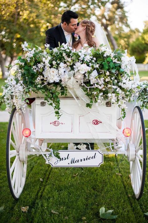 30 Wedding Exit Photo Ideas For Modern Couples | Wedding Forward Horse And Carriage Wedding, Equestrian Wedding, Horse Drawn Carriage, Stunning Wedding Photos, Wedding Carriage, Wedding Exit, Horse Wedding, Wedding Transportation, Wedding Exits