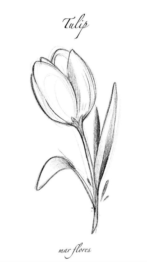 Cool Art Drawings Flowers, Art Ink Drawing, One Flower Drawing, Sketch Design Ideas, Flowers In Vase Drawing Simple, Flower Aesthetic Drawing Simple, Doodle Drawings Flowers, Drawings Ideas Flowers, Flower For Drawing