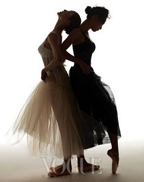 Dance Fashion Photography, Swan Photoshoot, Korean Vogue, Ballet Poses, Ballet Inspiration, Dance Like No One Is Watching, Ballet Photography, Ballet Beautiful, White Swan