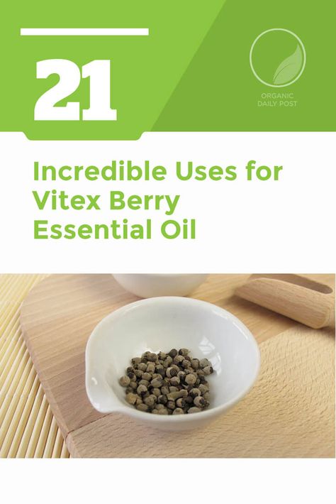 Vitex berry essential oil is used to treat endocrine system disorders, Parkinson’s, menstrual problems, PMS and hormone imbalance. Vitex Berry Benefits, Essential Oil Menstrual Cramps, Benefits Of Berries, Vitex Agnus Castus, Agnus Castus, Using Essential Oils, Menstrual Cramps, Endocrine System, Oil Uses