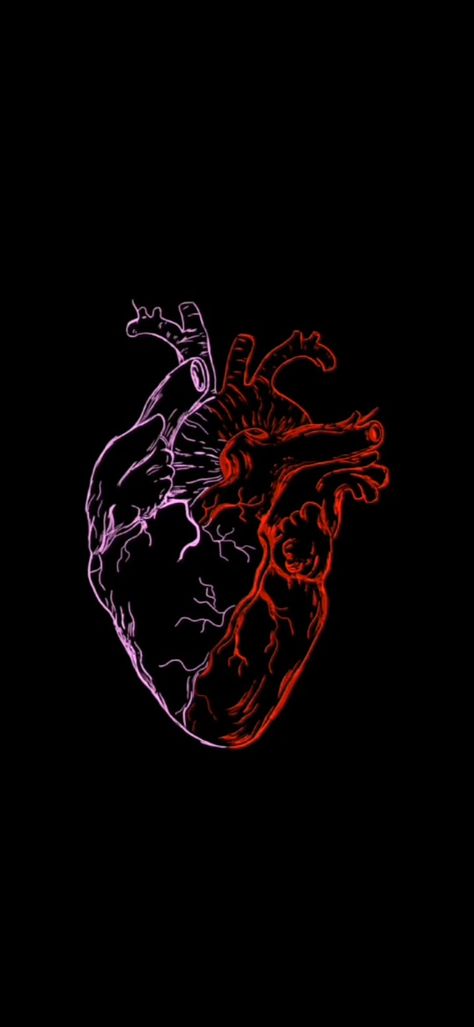 Heart In Dark Background, Heart Wallpaper Realistic, Real Heart Aesthetic, Human Heart Aesthetic, Realistic Heart Wallpaper, Real Heart Wallpaper, Jantung Aesthetic, Heart To Heart Wallpaper, Hearts Astethic