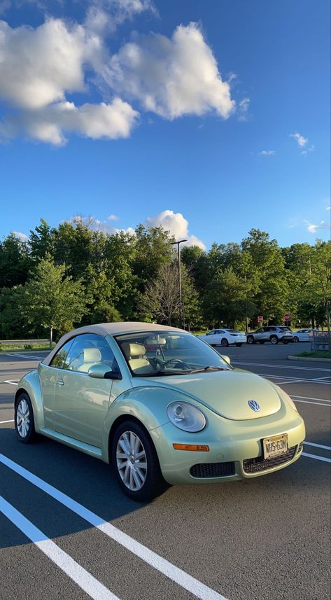 Volkswagen Bettle Custom, Vw Beetle Green, Beetle Car Aesthetic, Buggy Volkswagen, Beetle Aesthetic Car, Cute Beetle Car, Volkswagen Bug Aesthetic, Aesthetic Beetle Car, Vw Beetle Aesthetic