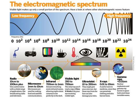 Electromagnetic Spectrum Drawing, Roman Men, Concept Maps, Roman Man, General Biology, Physics Lessons, Gamma Ray, Electromagnetic Waves, Radio Waves