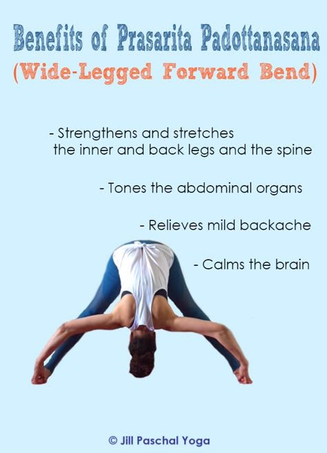 Forward Fold Stretches, Wide Leg Forward Fold Yoga, Seated Forward Fold Yoga, Seated Forward Bend Yoga, Forward Bend Yoga, Yoga Facts, Daily Yoga Workout, Yoga Techniques, Health And Fitness Articles