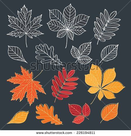 Black Chalkboard, Fallen Leaves, Bible Journaling, Autumn Leaves, Chalkboard, Design Elements, Chalk, Stock Vector, Bible