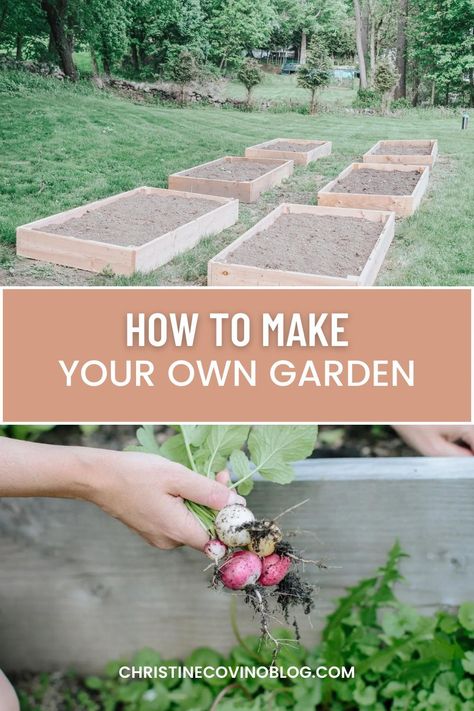 Get started with your first garden thanks to this how to guide that walks you through how to set up your own gardening and get started gardening for beginners. It offers everything you need to know in order to become a master gardener in no time! How To Garden For Beginners, 2024 Activities, Beginners Garden, First Garden, Beginner Gardening, Flower Truck, Gardening 101, Starting A Garden, Flower Gardening