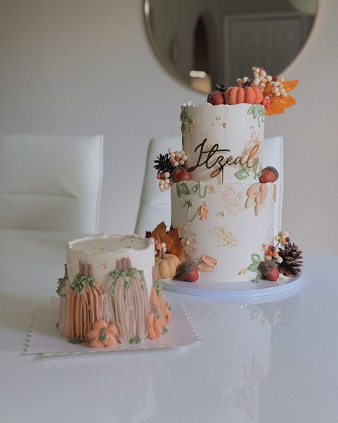 fall birthday cake and smash cake 🎃🤍🍂 - - - - - - pipingtips / buttercream cake / buttercream decorating / cake design / cake decorating /tampa vintage cake / cake decorator / buttercream piping / vintage cake / pink cake / cake business / tampa bakery / tampa cakes / birthday cake / mini cakes / fall birthday cake / fall smash cake / pumpkin themed cake Fall Birthday Cakes, Buttercream Decorating, Cake Business, Fall Birthday, Pumpkin Theme, Pink Cake, Vintage Cake, Buttercream Cake, Cake Smash