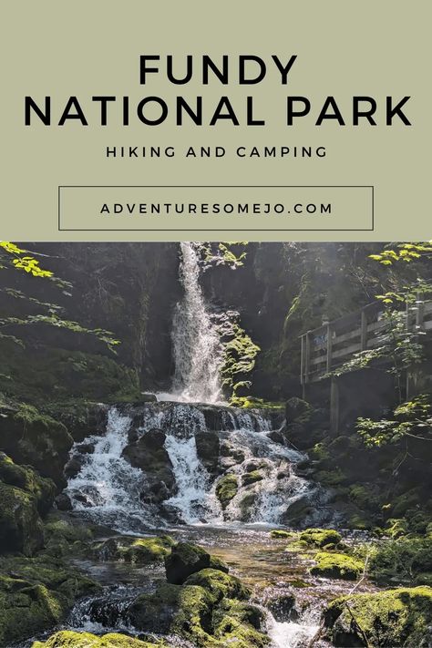 Guide To Camping And The Best Fundy National Park Hikes | Adventuresome Jo National Park Hikes, Fundy National Park, Comfortable Camping, Backcountry Camping, Wilderness Camping, Eastern Canada, Parks Canada, Hiking National Parks, Camping Locations