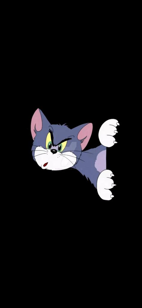 Tom And Jerry Pictures, Tom And Jerry Wallpapers, Cracked Wallpaper, Tom And Jerry Cartoon, Whatsapp Wallpaper Cute, Tom Y Jerry, Projets Cricut, 1080p Anime Wallpaper