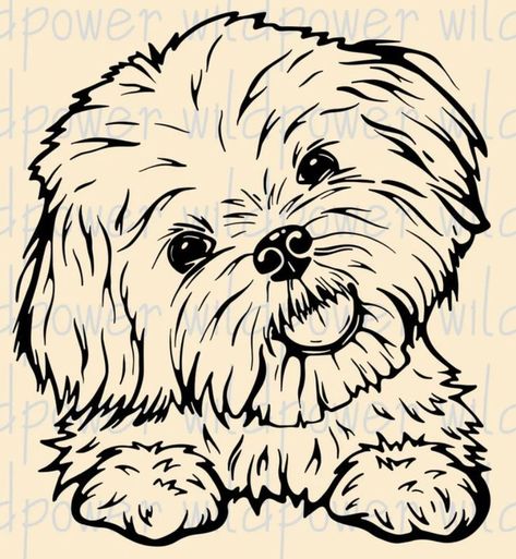 Pet Portrait Tattoos, Perro Shih Tzu, Shitzu Dogs, Shitzu Puppies, Portrait Tattoos, Laser Removal, Puppy Drawing, Different Artists, Tattoo Fails