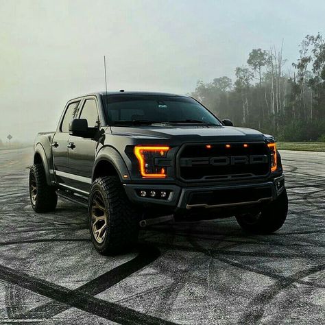 Garage Mike 🇮🇹 on Twitter: "#Ford f150 raptor… " Ford Raptor Offroad, Ford Raptor Custom, Ford Raptor Truck, Mobil Off Road, Truck Accessories Ford, Diesel Trucks Ford, F150 Raptor, Ford F 150 Raptor, Ford F150 Raptor