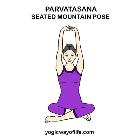 Mountain Pose Yoga, Yoga Mountain, Power Yoga Poses, Archer Pose, Yoga Cartoon, Yoga Drawing, Chair Pose Yoga, Yoga Poses Names, Mountain Pose