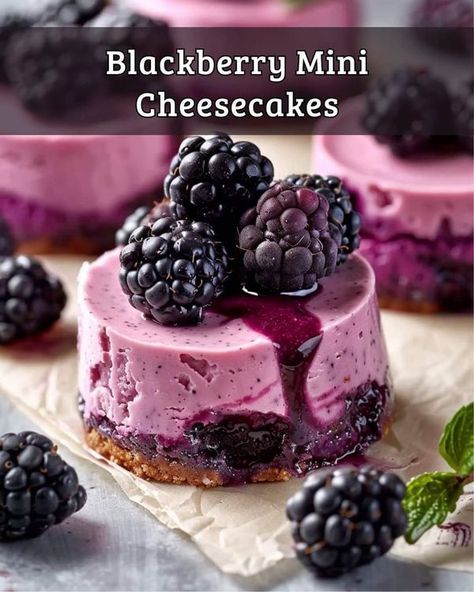 Recipes Patisserie | Blackberry Mini Cheesecakes | Facebook Blackberry Tarts Mini, Blackberry Tarts, Tarts Mini, Blackberry Sauce, Blackberry Cheesecake, Berry Compote, Oreo Crust, Mini Tart, Almond Extract