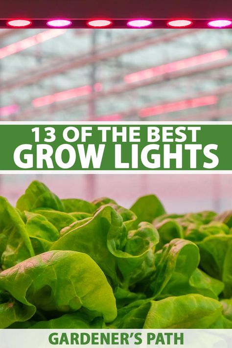 For healthy indoor gardens, seedlings, and houseplants, plenty of bright light is needed. If your plants are struggling, check out our list of 13 of the best grow lights for indoor plants and seedlings. They give a fast, easy, and economical solution for vigorous indoor gardens. #growlights #indoorgarden #gardenerspath Best Hydroponic Plants Indoor Gardening, House Plant Grow Light Setup, Grow Lights For Plants Indoor Gardening, Plant Lights Indoor Setup, Grow Lights For Houseplants, Alaska Gardening, Hydroponics Plants, Starting Garden, Kratky Method